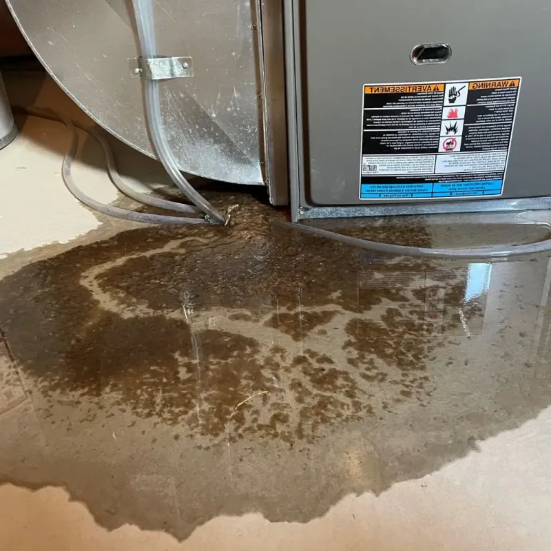 Pipe Burst and Leak Restoration in Ravena, NY